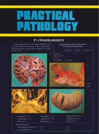 Cover image: Practical Pathology 9781642874334