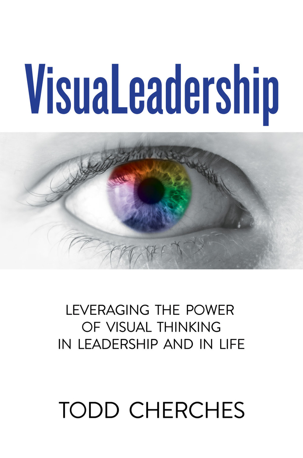 VisuaLeadership (eBook)