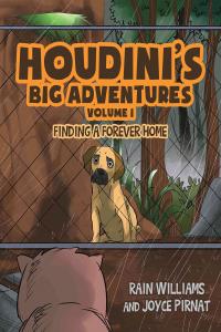 Omslagafbeelding: Houdini's Big Adventures 9781642981889