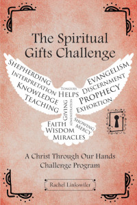 Titelbild: The Spiritual Gifts Challenge 9781643000862