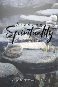 Cover image: Seeking Spirituality 9781643008349