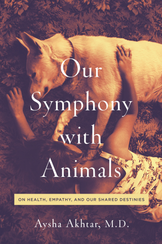 Cover image: Our Symphony with Animals 9781643130705