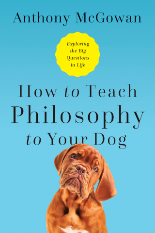 Cover image: How to Teach Philosophy to Your Dog 9781643133119