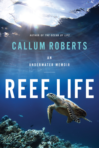 Cover image: Reef Life 9781643133294