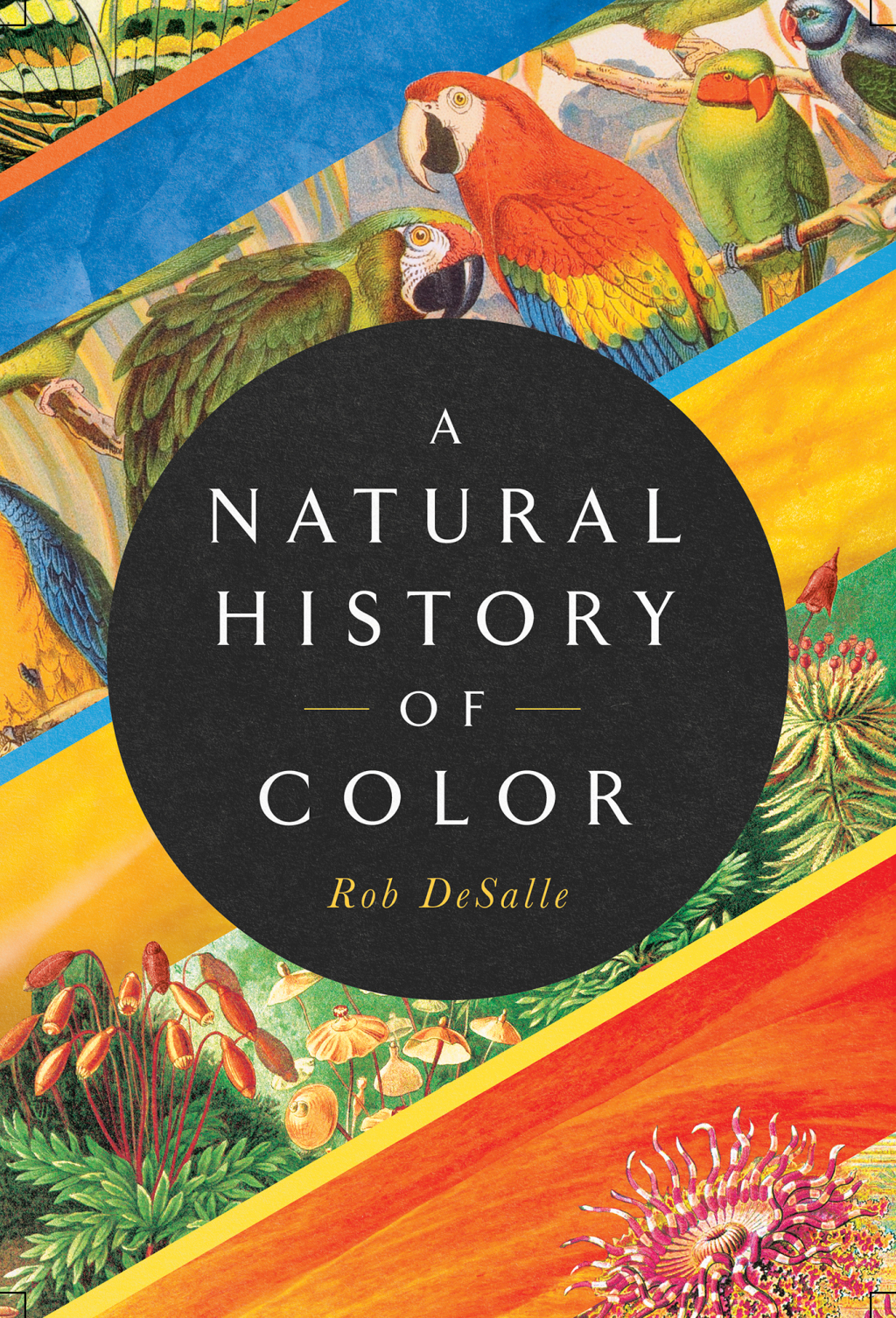 A Natural History of Color The Science Behind What We See and How We See it