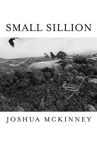 Cover image: Small Sillion 9781643170466