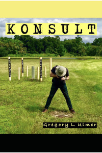 Cover image: KONSULT 9781643172200