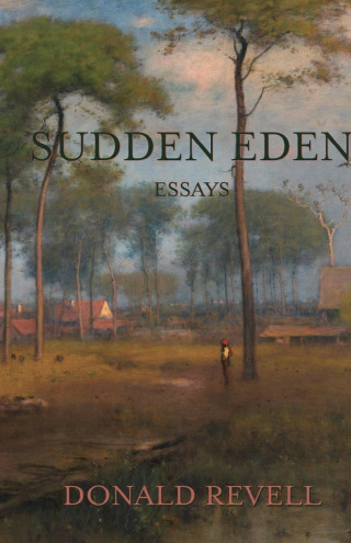 Titelbild: Sudden Eden 9781643171081