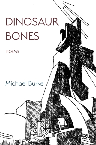 Cover image: Dinosaur Bones 9781643171876