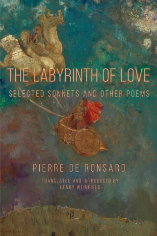 Cover image: Labyrinth of Love, The 9781643172309