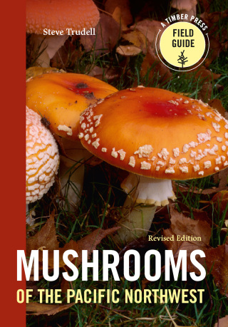 Cover image: Mushrooms of the Pacific Northwest, Revised Edition 9781643260860