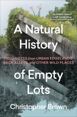 Cover image: A Natural History of Empty Lots 9781643263366