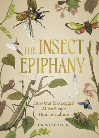Cover image: The Insect Epiphany 9781643261362