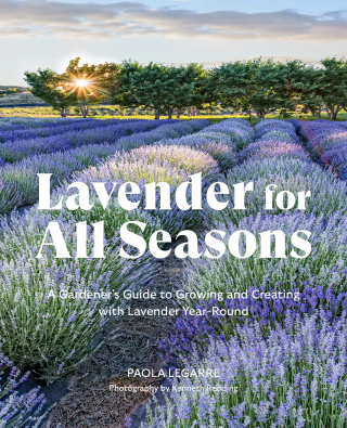 Cover image: Lavender for All Seasons 9781643261867