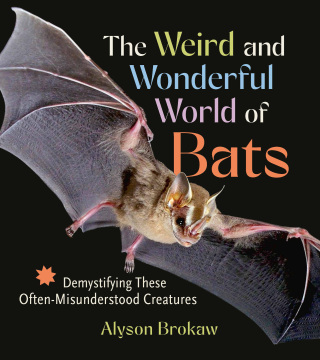 Cover image: The Weird and Wonderful World of Bats 9781643261904