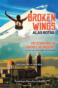 Cover image: Broken Wings Alas Rotas 9781643345574