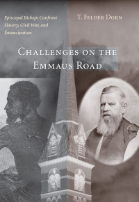 Omslagafbeelding: Challenges on the Emmaus Road 9781611172492