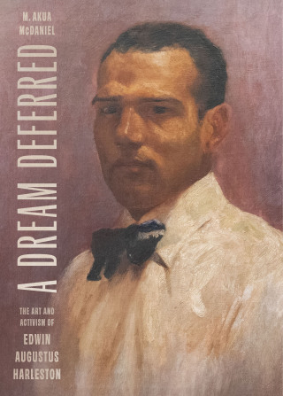 Imagen de portada: A Dream Deferred 9781643365596