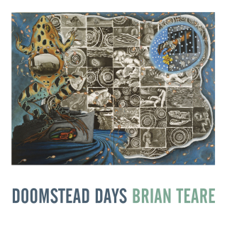 Imagen de portada: Doomstead Days 9781643620022