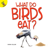 صورة الغلاف: What Do Birds Eat? 9781641561556