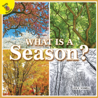 Imagen de portada: What is a Season? 9781641561655