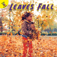 Omslagafbeelding: Leaves Fall 9781641562256