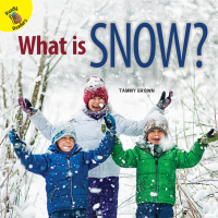Imagen de portada: What is Snow? 9781641562263