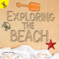 表紙画像: Exploring the Beach 9781641561839
