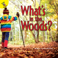 صورة الغلاف: What's in the Woods? 9781641562652