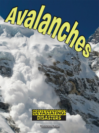 Cover image: Avalanches 9781634305242
