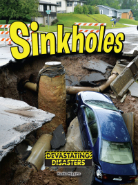 Cover image: Sinkholes 9781634305228