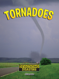 Cover image: Tornadoes 9781634305266