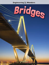 表紙画像: Bridges 9781634305198