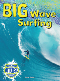 Imagen de portada: Big Wave Surfing 9781634305389