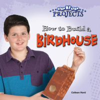 Imagen de portada: How to Build a Bird House 9781634304542