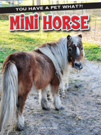 صورة الغلاف: Mini Horse 9781634305341