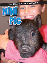 Cover image: Mini Pig 9781634305310