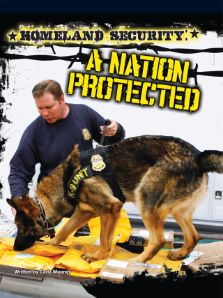 Cover image: Homeland Security 9781621698210