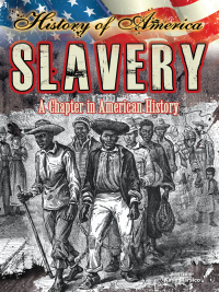 Cover image: Slavery 9781621699361