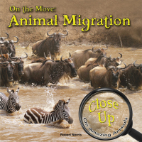 Cover image: On the Move 9781627177559