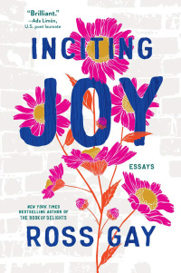 Cover image: Inciting Joy 9781643753959