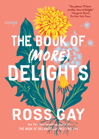 Cover image: The Book of (More) Delights 9781643753096
