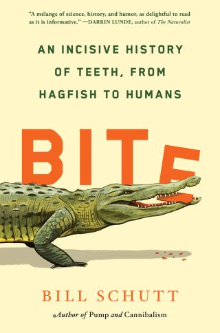 Cover image: Bite 9781643751788
