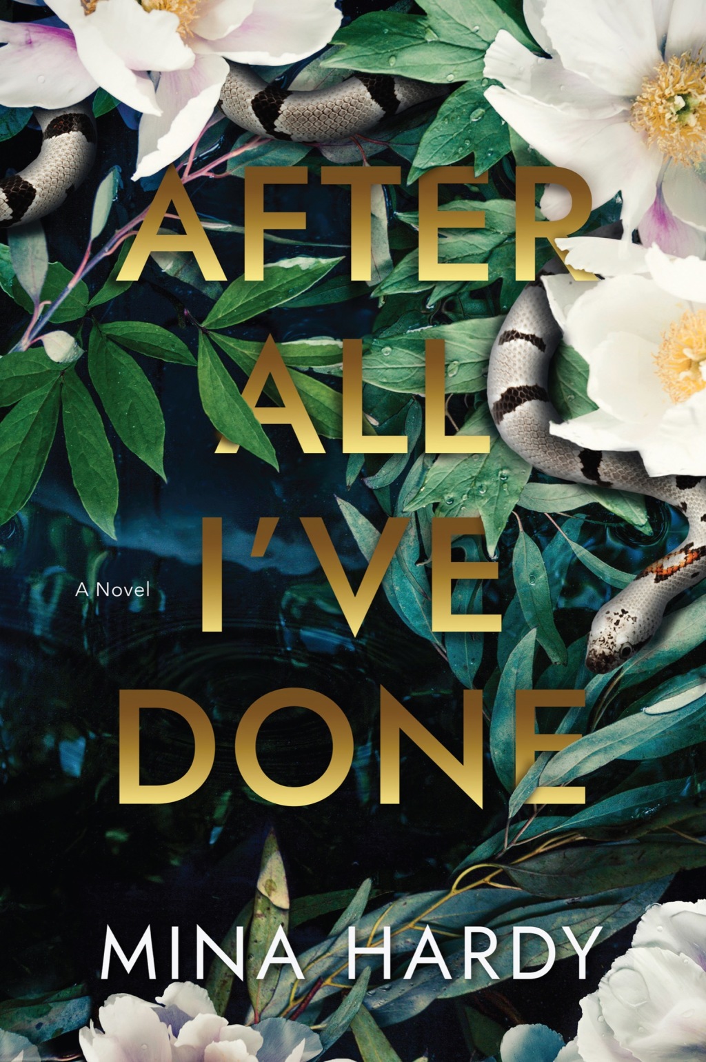 After All I’ve Done A Novel