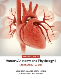 Cover image: Human Anatomy & Physiology II 1st edition 9781681352923