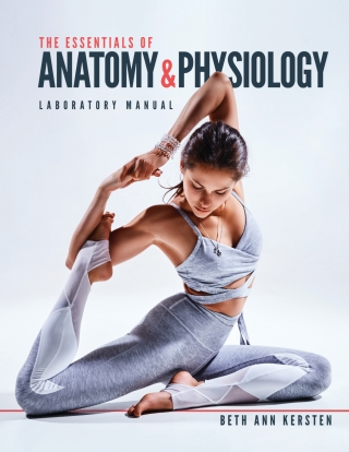 Cover image: The Essentials of Anatomy and Physiology Laboratory Manual 1st edition 9781643860510