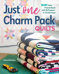 Titelbild: Just One Charm Pack Quilts 9781644030844