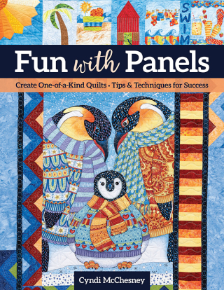 Imagen de portada: Fun with Panels 9781644032930