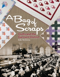 Imagen de portada: A Bag of Scraps 9781611690415