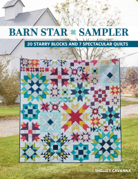 Cover image: Barn Star Sampler 9781644034804